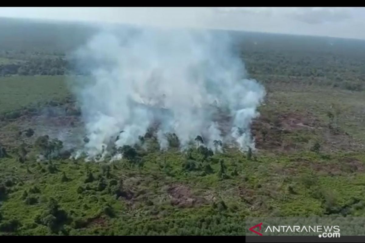 Polda Jambi turunkan personil padamkan api di Parit Pudin Tanjab Barat