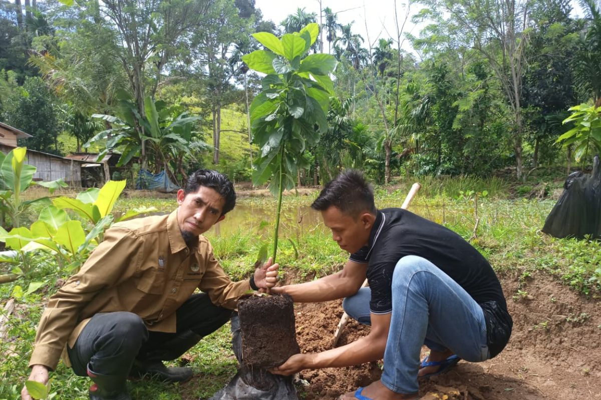 JBI OKU peringati Hari Lingkungan  Hidup dengan menanam pohon