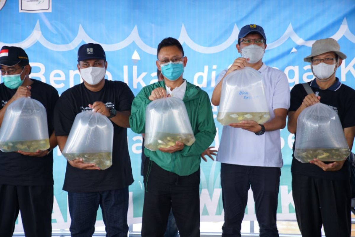 Wali Kota Pontianak tebar bibit ikan di Sungai Kapuas