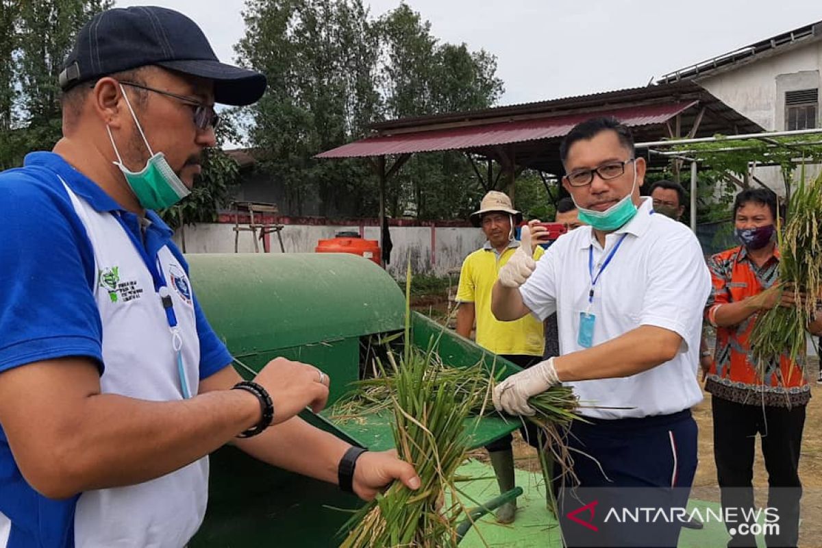 Petani Sambas tingkatkan produksi tanam padi empat kali setahun