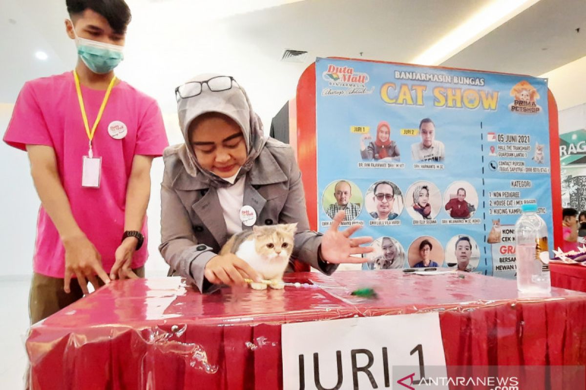 drh Rini Fajarwati: Kucing lokal juga tak kalah cantik