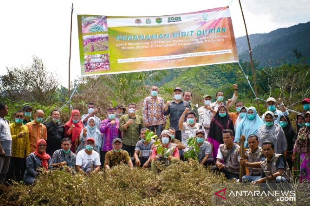 Hari Lingkungan Hidup Sedunia, Pemkab Tapsel tanam ribuan pohon durian