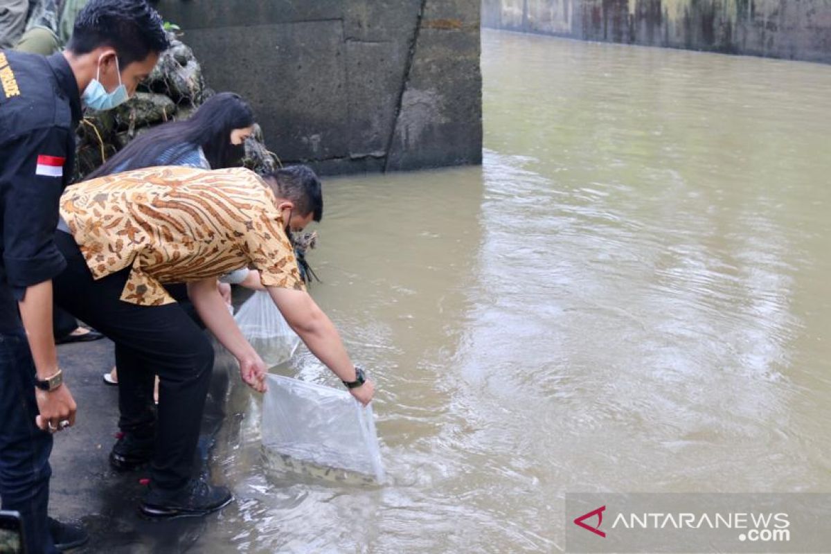 Pemkot Medan tabur 4.000  benih ikan di Sungai Deli