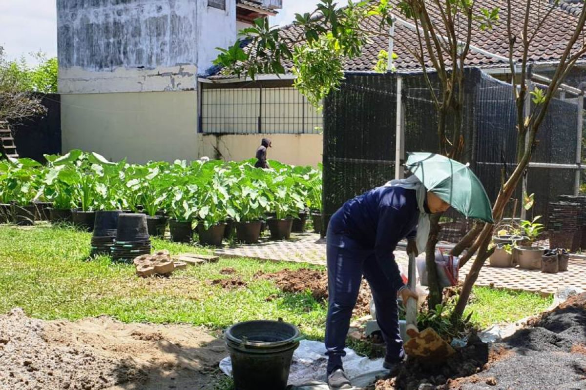 PKB Sumsel ajak pemuda lakukan reboisasi  atasi kerusakan hutan