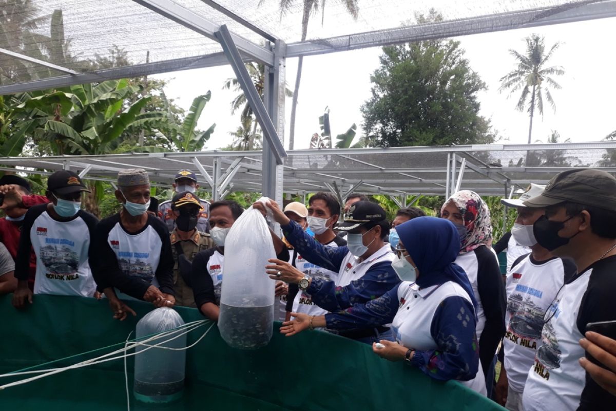 Pemkab Donggala perkenalkan budidaya perikanan  metode bioflok