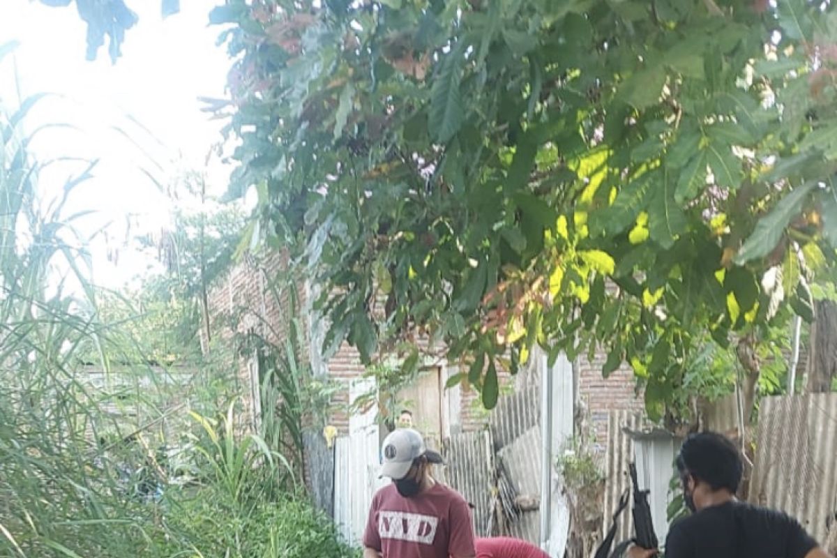 Polisi gerebek judi sabung ayam di Penaraga