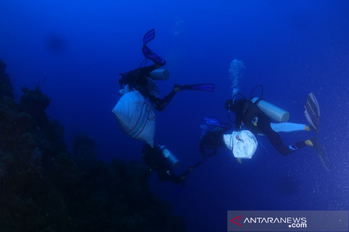 Japesda bersih-bersih sampah plastik di habitat hiu paus Gorontalo