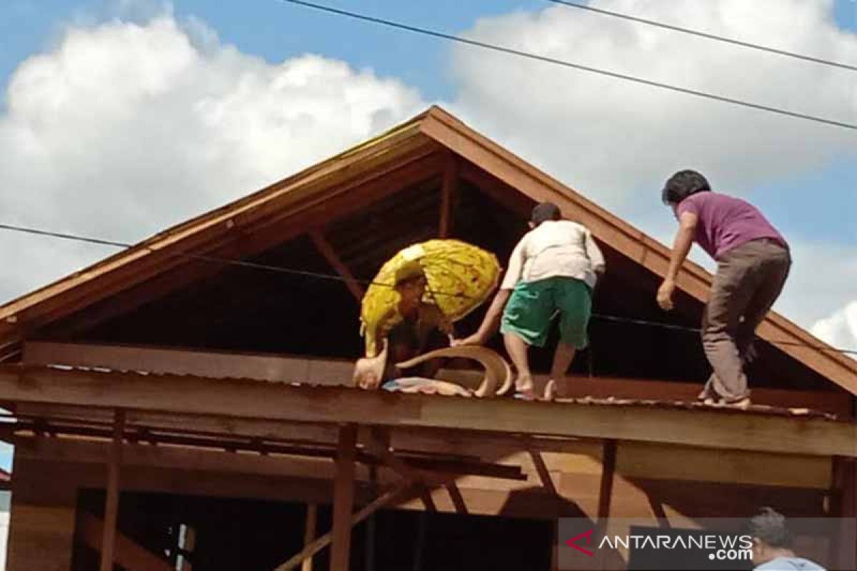 Seorang warga Kapuas terpental dari atap rumah usai kesetrum listrik