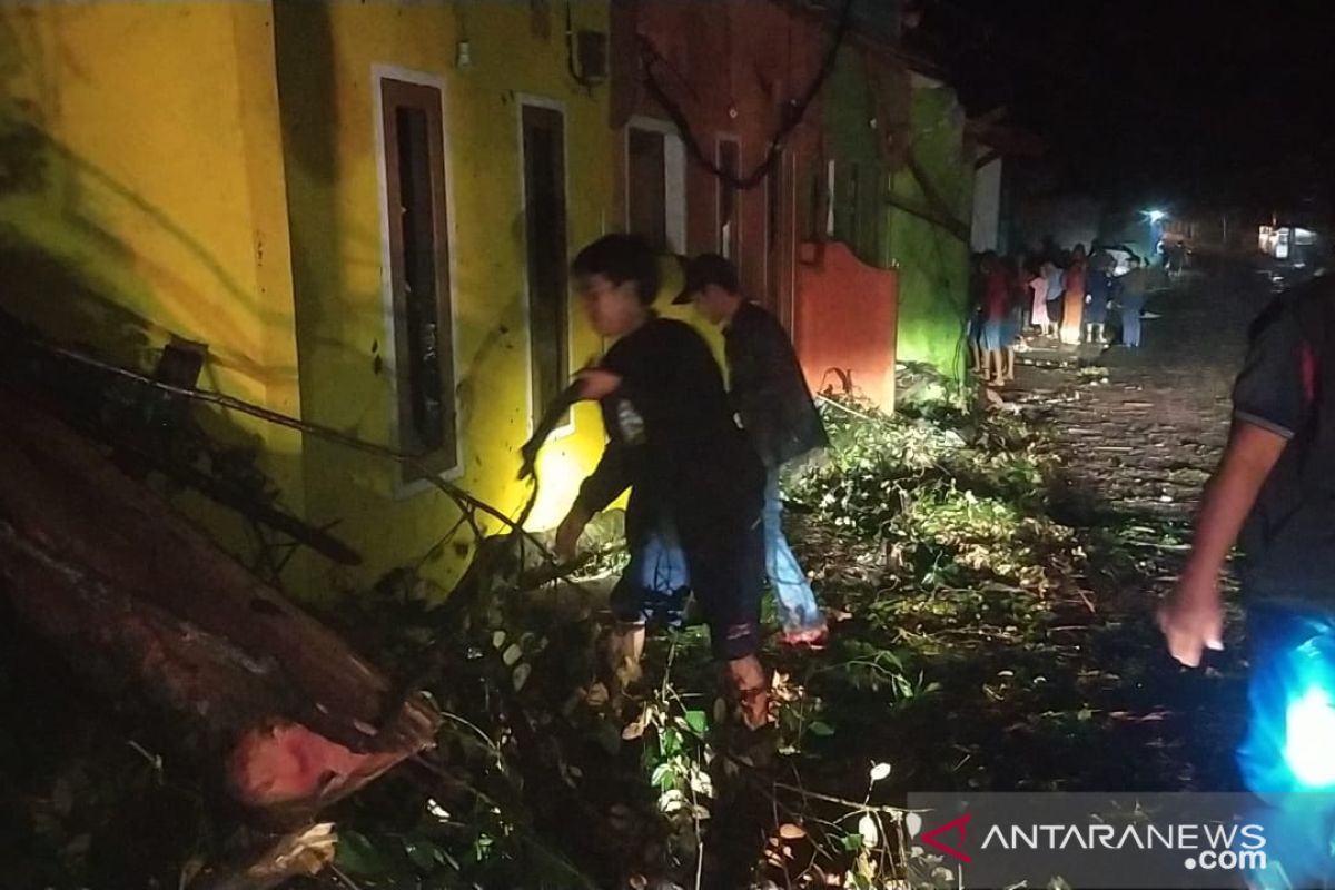 Sejumlah pohon tumbang dan rumah rusak akibat hujan disertai angin kencang di Sukabumi