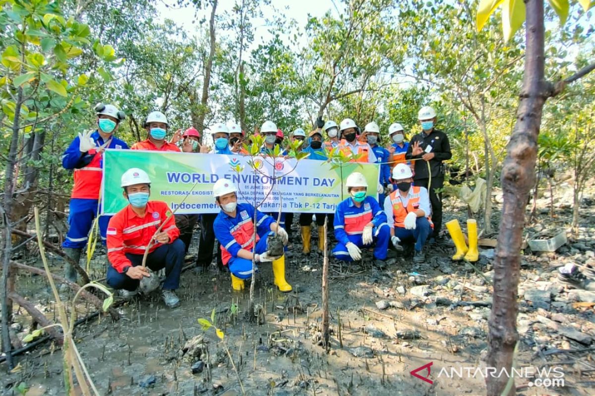 Indocement tanam 100 bibit pohon di area mata air Cikukulu Bogor