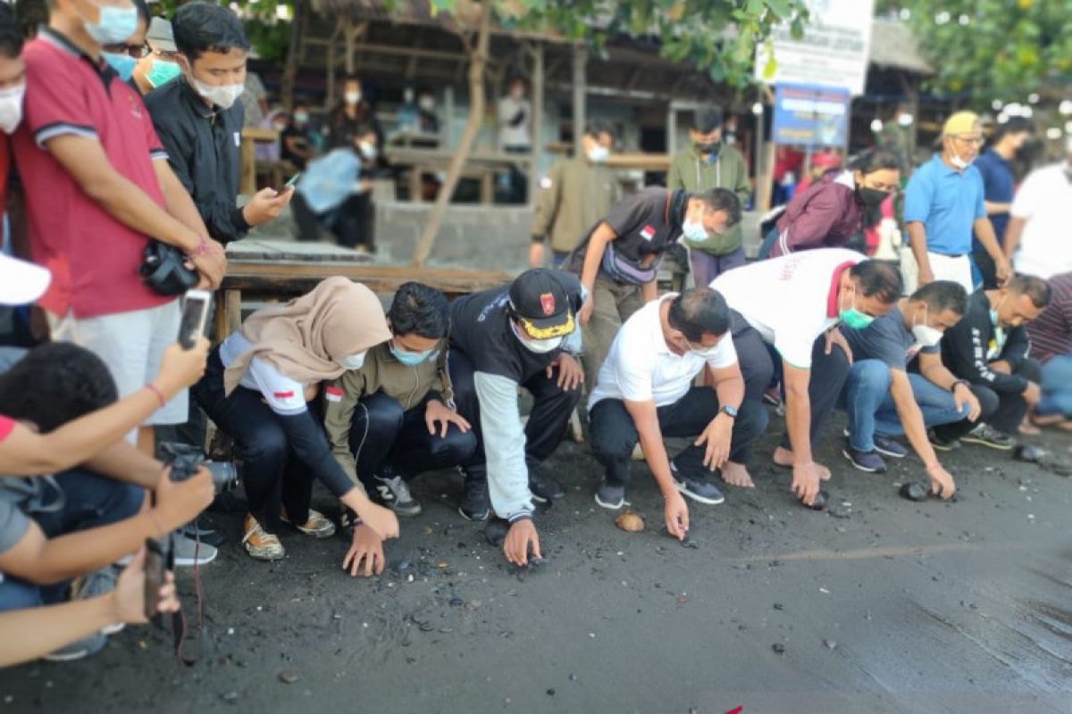 BEM-Rema Undiksha Singaraja lepas tukik di Pantai Penimbangan