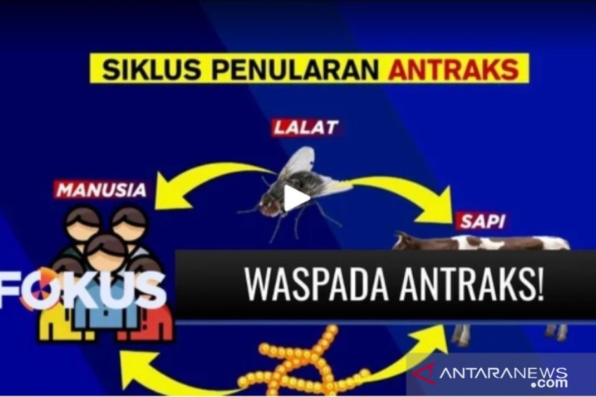 Enam warga Tulungagung terpapar bakteri antraks diperbolehkan pulang