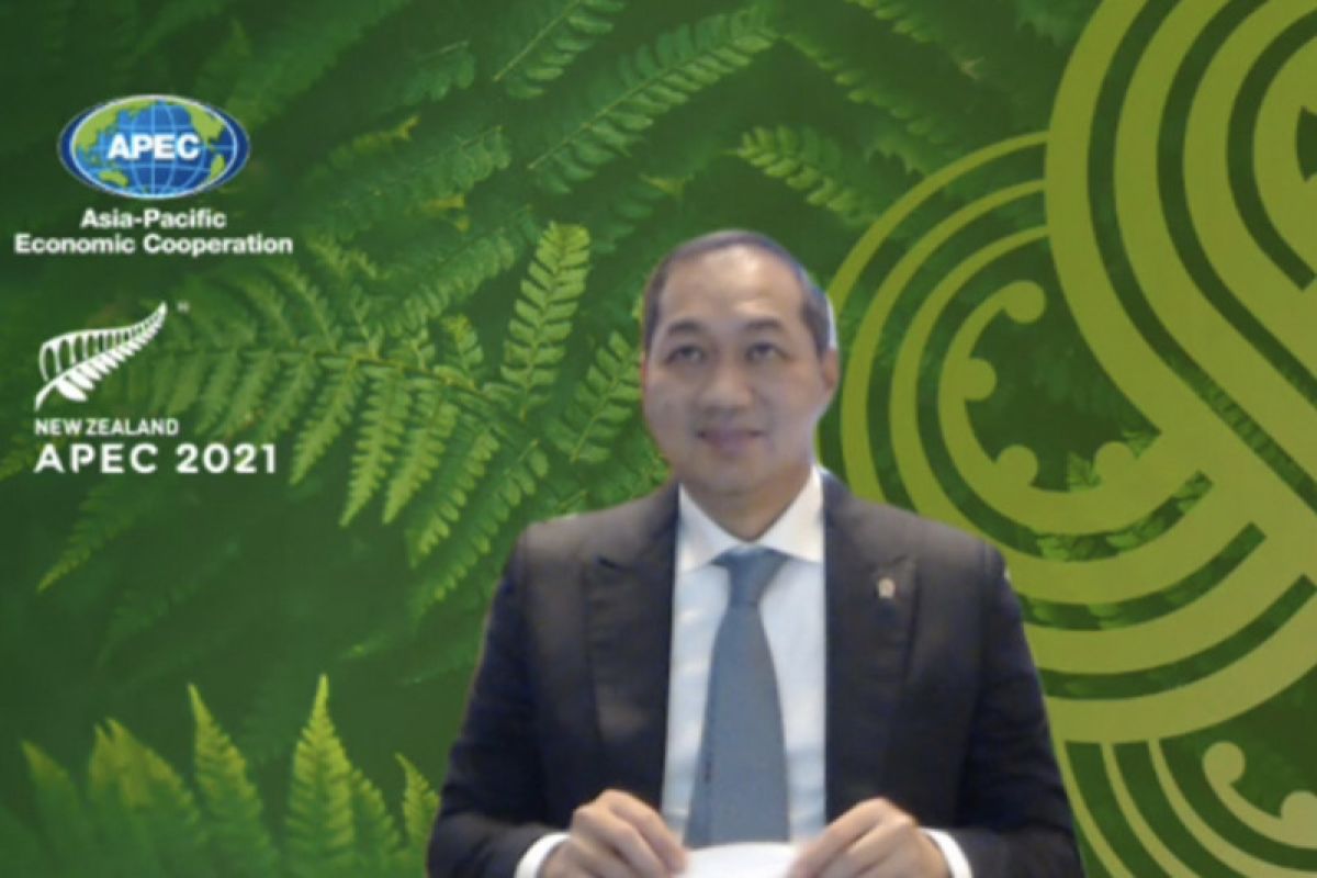 Mendag Lutfi dorong anggota APEC perkuat fasilitas perdagangan vaksin