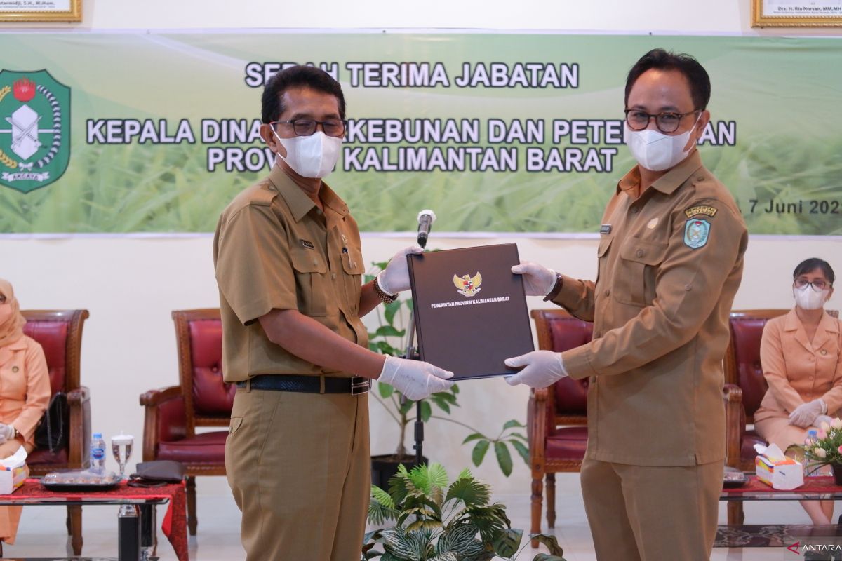 Kalbar maju melalui sektor perkebunan dan peternakan