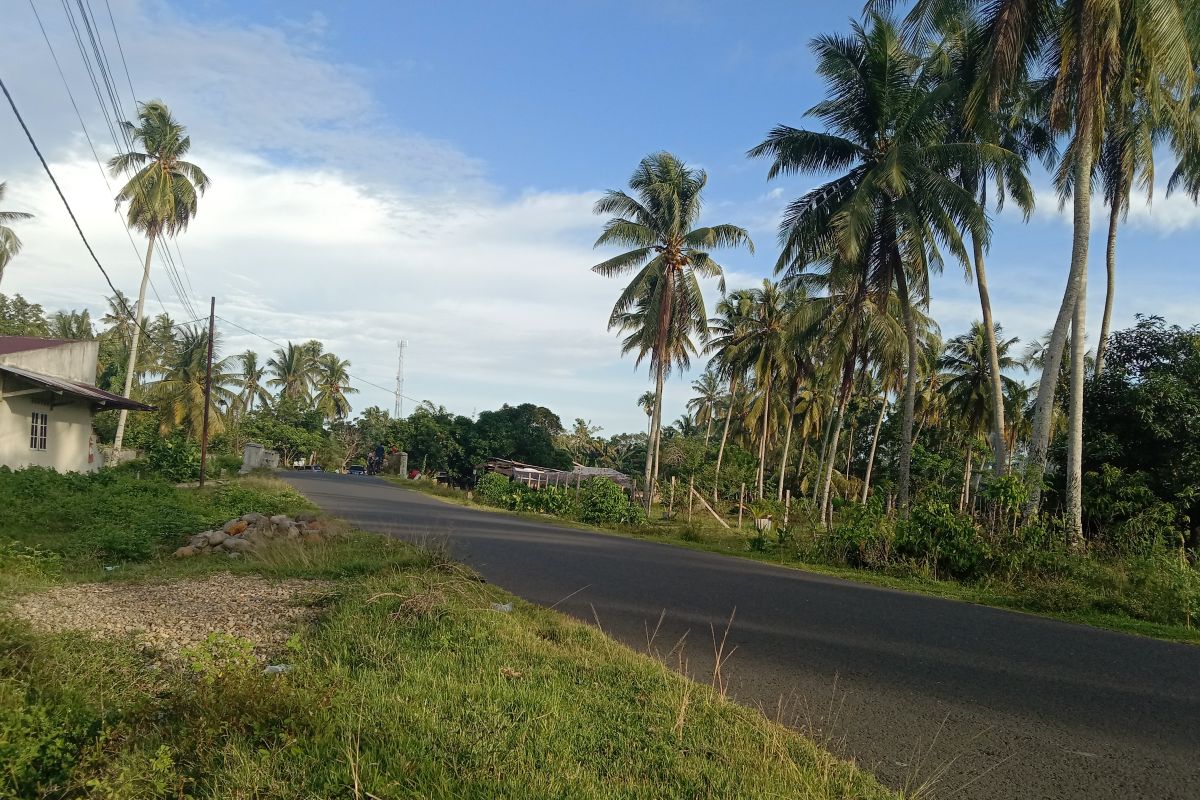 Mukomuko tingkatkan jalan kabupaten bertahap