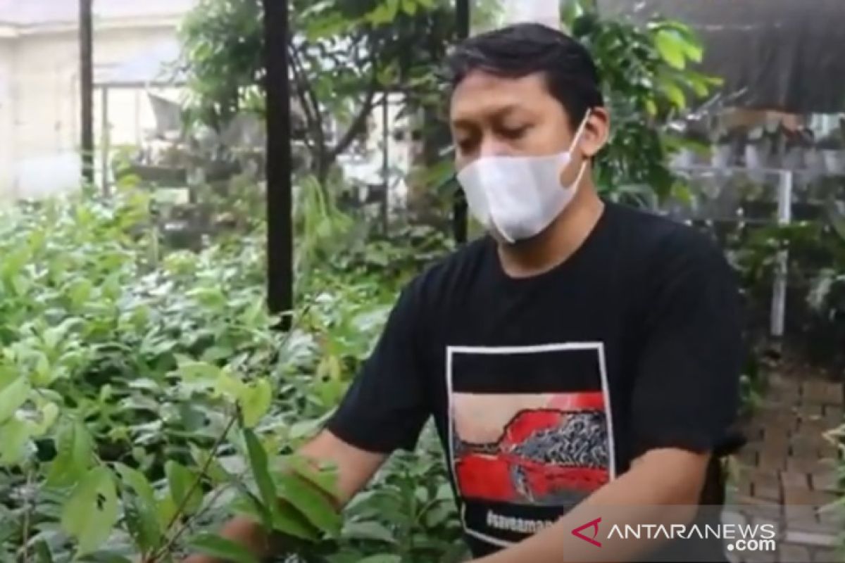 Hanif bangun perpustakaan pohon dan pembibitan tanaman langka Kalimantan
