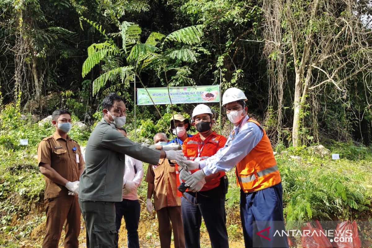 Indocement hijaukan Wisata Goa Lowo