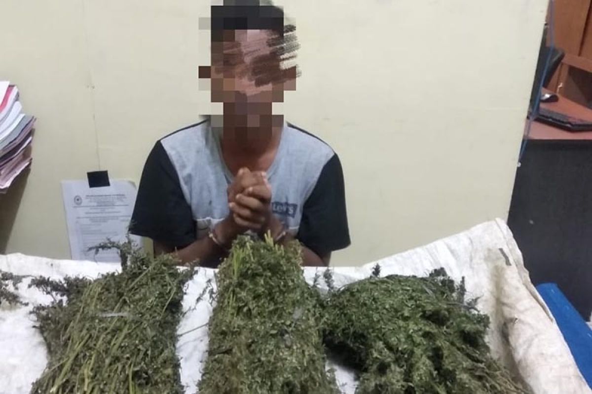 Polisi ringkus pemuda bawa sekarung ganja