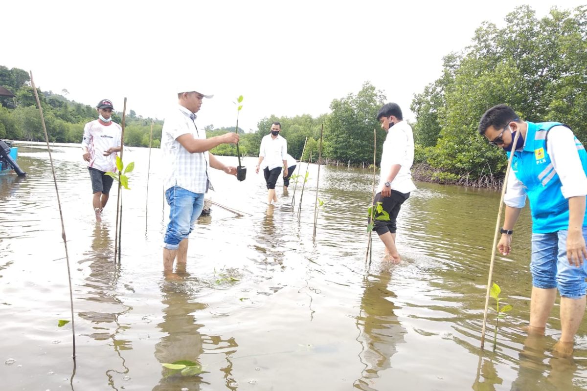 Ini bantuan PLN UIW Aceh di wilayah pesisir