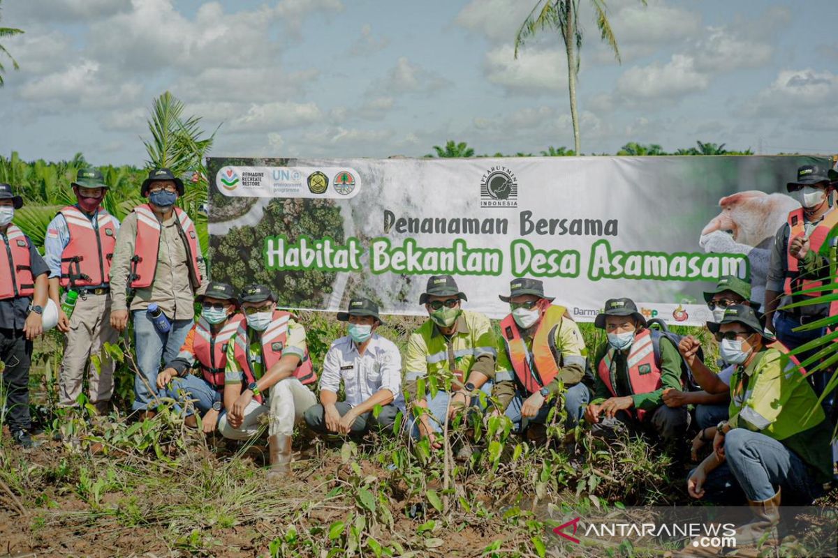 Arutmin Hadirkan Bekantan Ecopark Asamasam