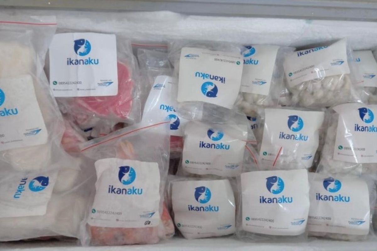 Perum Perindo kembangkan Ikanaku jadi produk massal