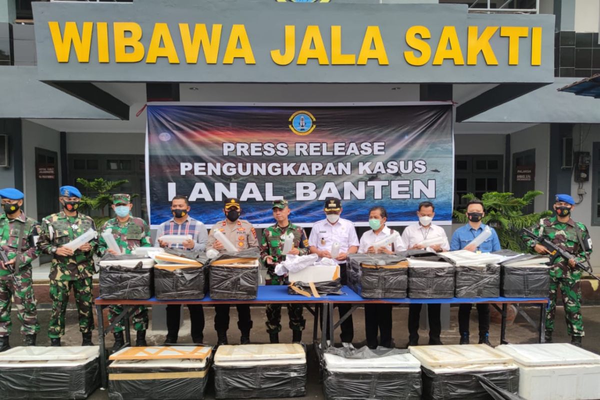 Gagalkan penyelundupan benur, Lanal Banten selamatkan aset negara Rp7,8 miliar