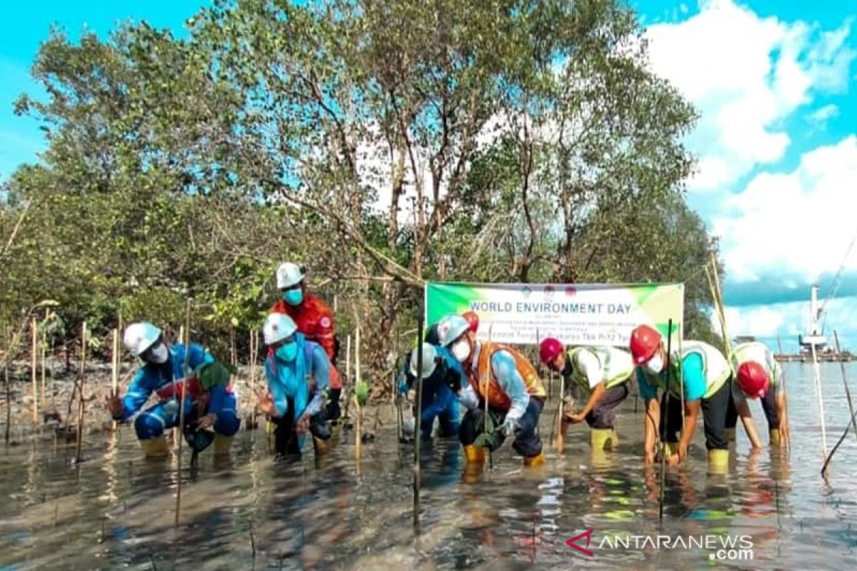 Indocement konsisten jaga lingkungan hidup