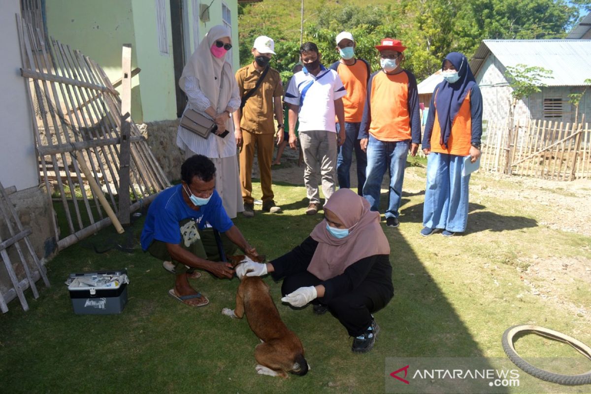 Dinas Peternakan Bone Bolango vaksinasi rabies anjing peliharaan warga