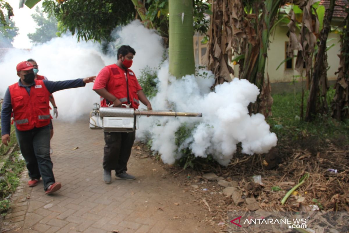 PMI Jember lakukan fogging setelah seorang balita meninggal terkena DBD