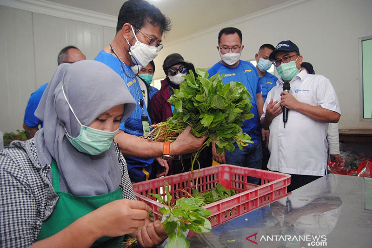 Menteri Pertanian: Realisasi produksi pangan meningkat