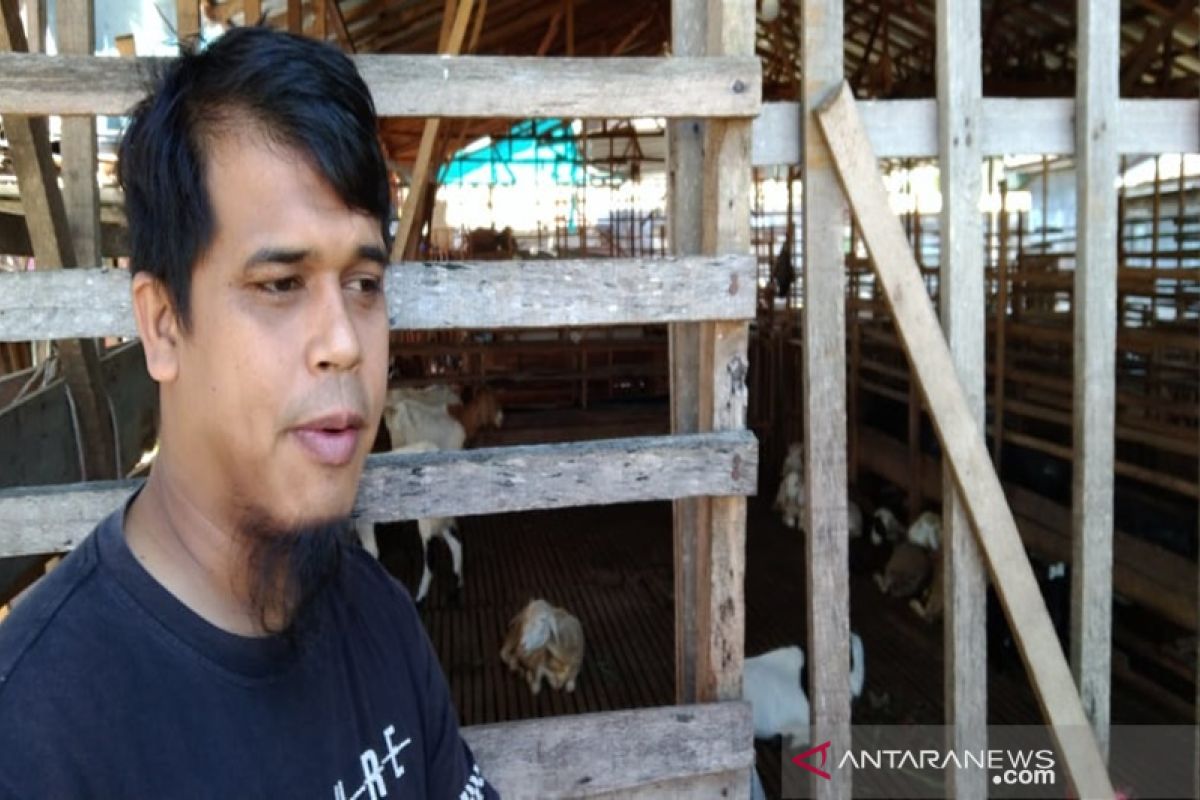 Trader bring in 1,500 goats per month from outside Kalimantan