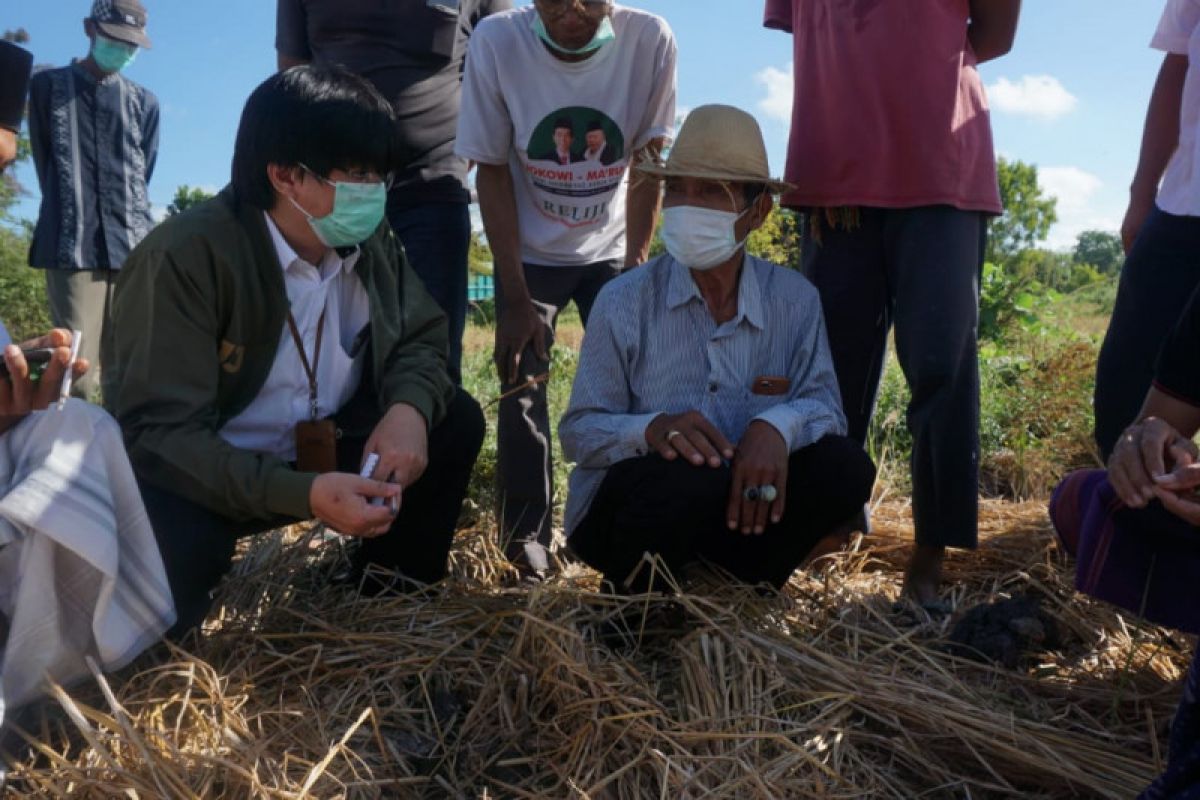 KSP menindaklanjuti aduan petani tembakau di Lombok Timur