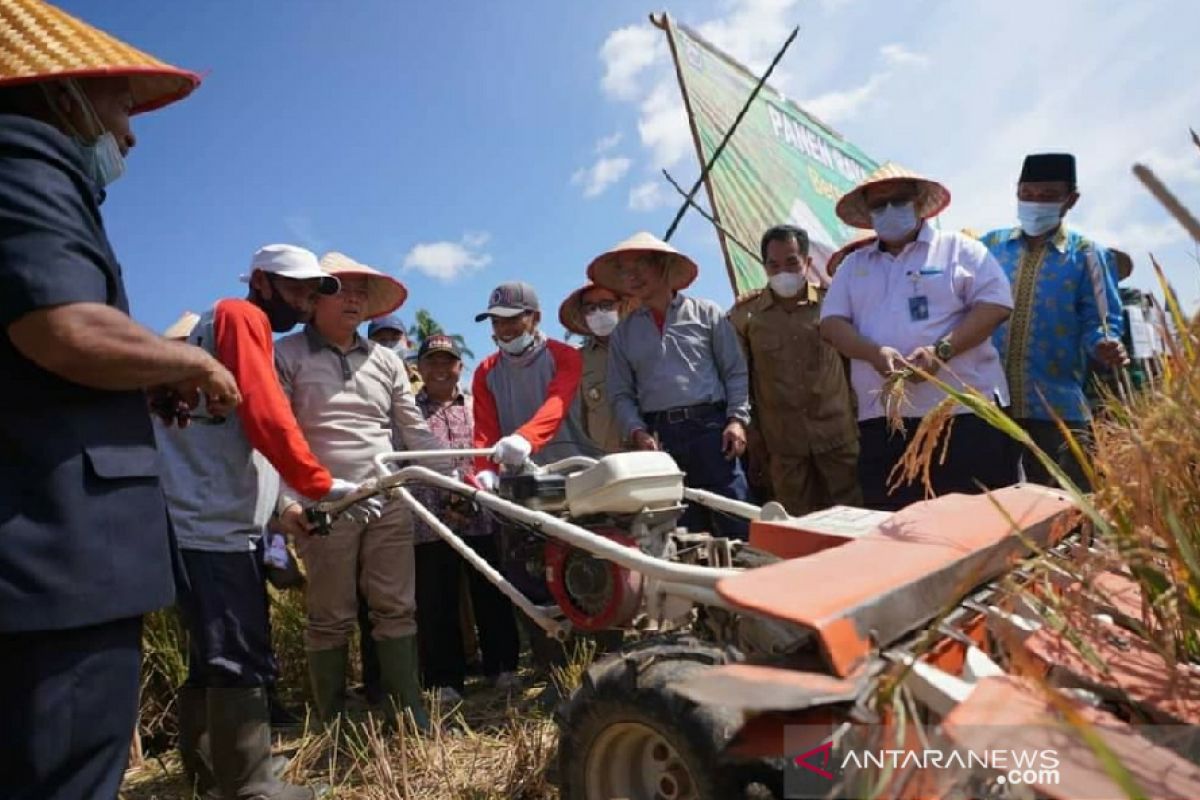 Pemprov Bengkulu dorong ketahanan pangan ditengah pandemi