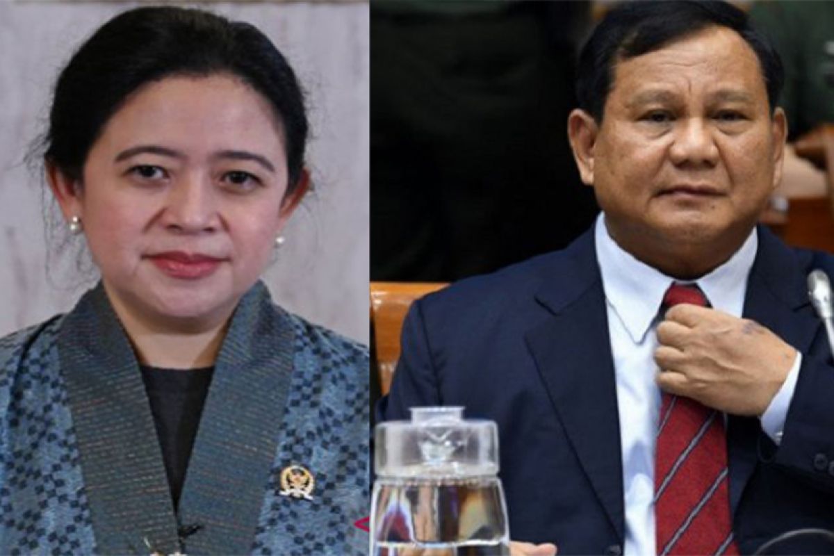 Duet Prabowo-Puan paling mungkin diwujudkan di Pilpres 2024