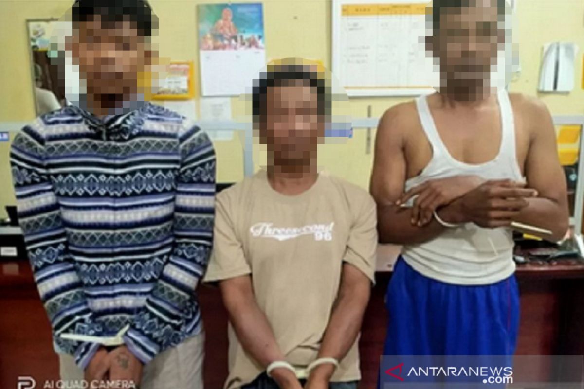 Tiga pelaku pencuri sapi ditangkap Satreskrim Polres Pasbar