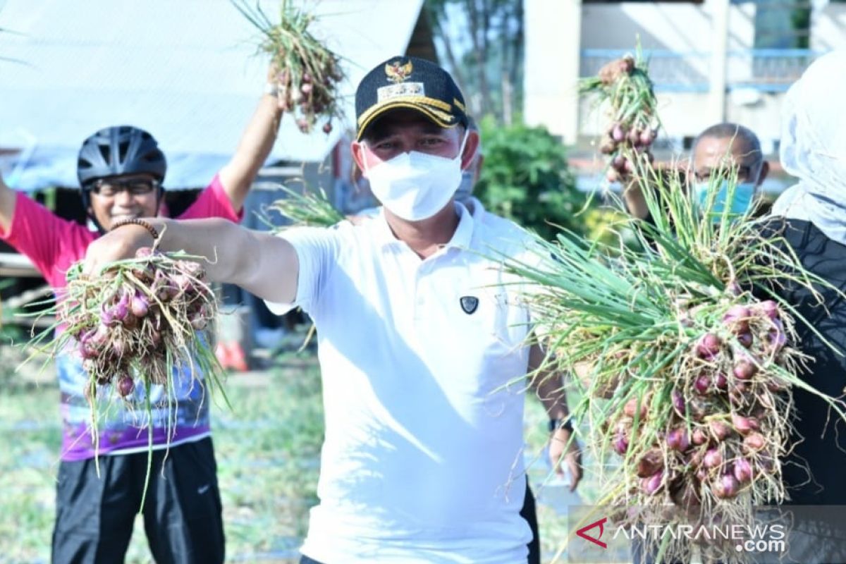 Bupati Bangka minta seluruh PPL dampingi petani bawang merah