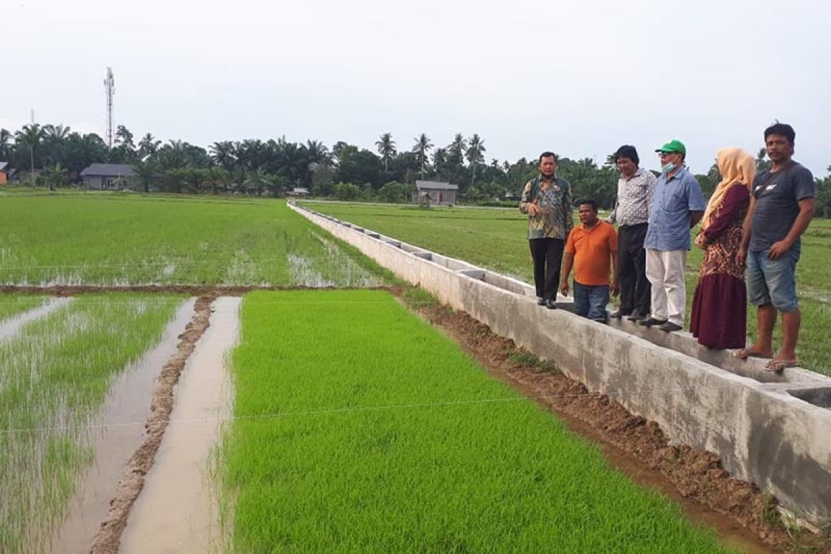 Pemkab Aceh Tamiang galakkan pemakaian pupuk organik