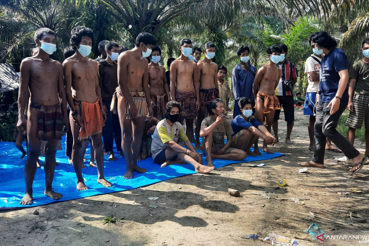 Kehidupan untuk orang rimba, bertahan saat hujan makin gundul