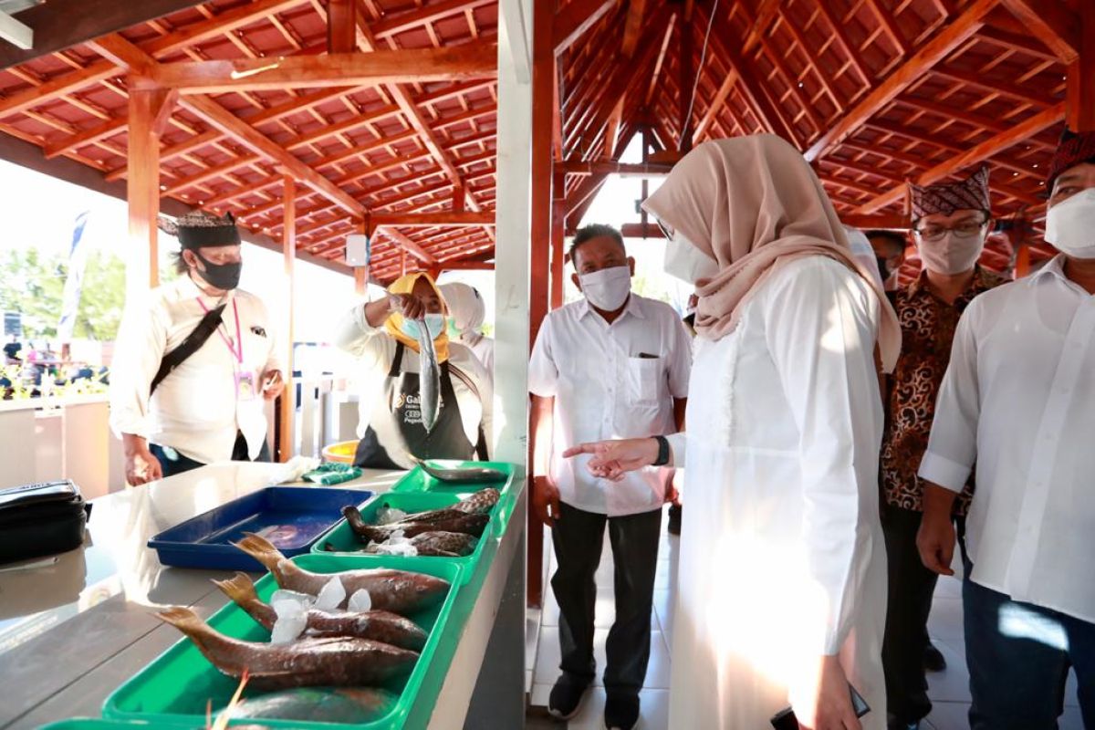 Festival Pasar Ikan Banyuwangi untuk gerakkan ekonomi di tengah pandemi