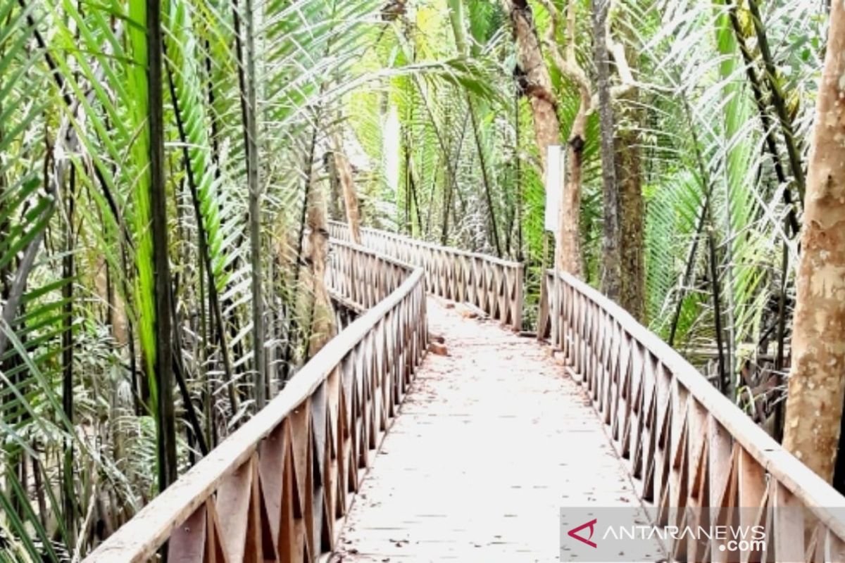 Bupati Bulungan dorong sinergitas kembangkan desa wisata mangrove