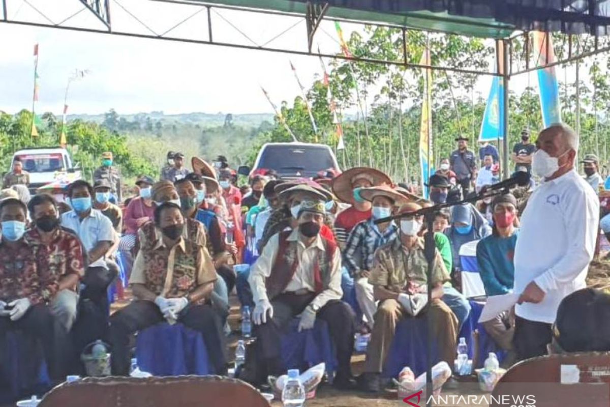 Gubernur Kaltim: Tanah di Kubar cocok untuk perkebunan