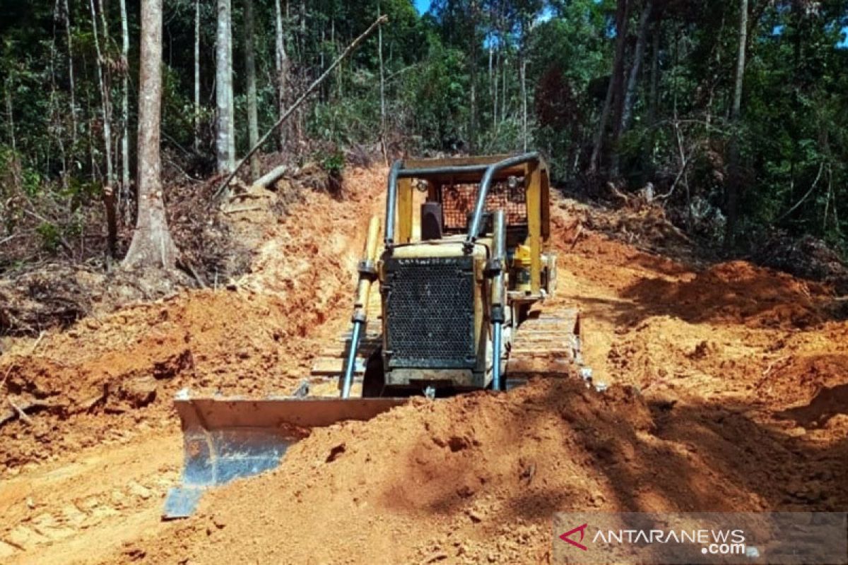 KLHK telusuri pemodal pembalak pohon di Bukit Rimbang-Bukit Baling