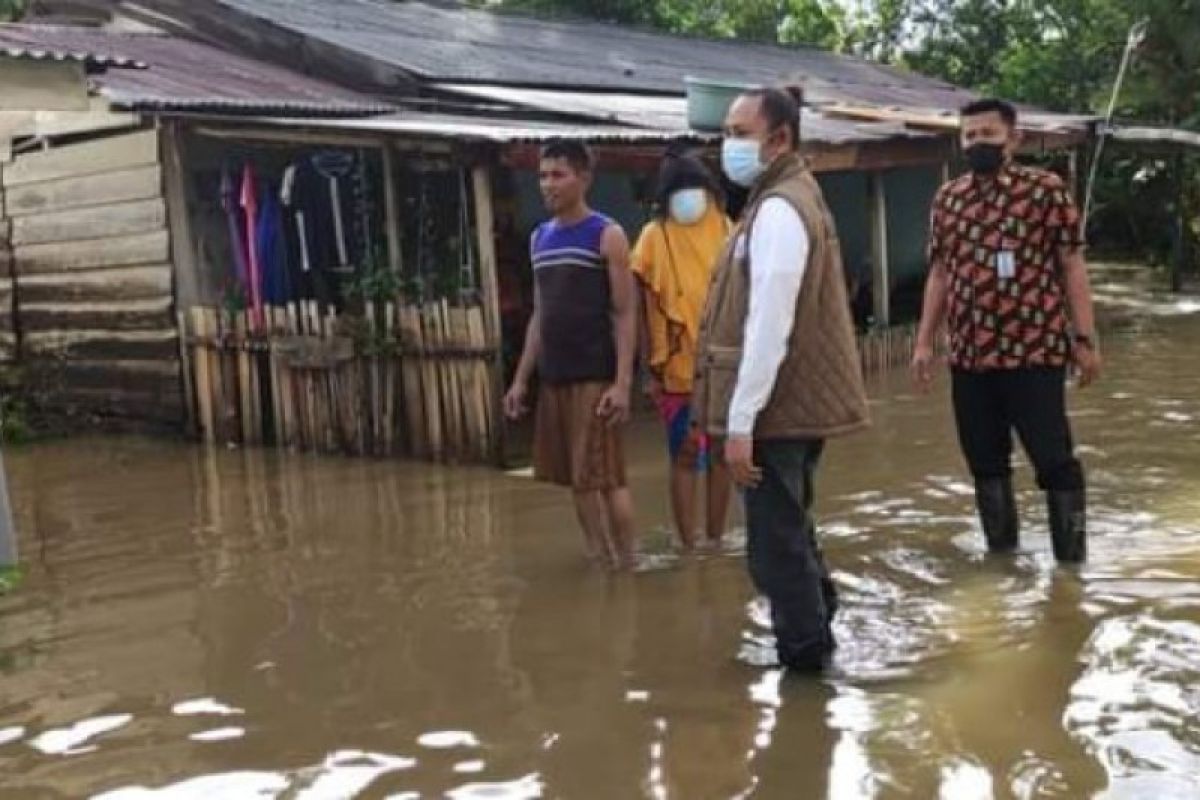 Banjir akibat hujan deras rendam permukiman warga di Mamuju
