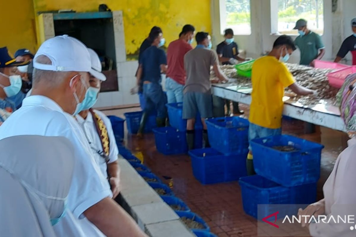 Gubernur Sumbar dorong tambak udang modren berwawasan lingkungan