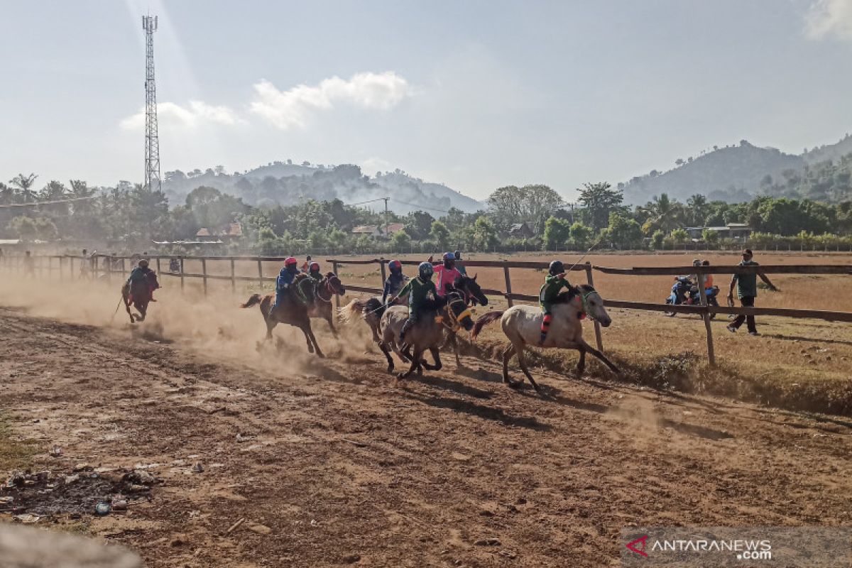 Uno vows to develop Bima's horse racing as part of tourist attractions