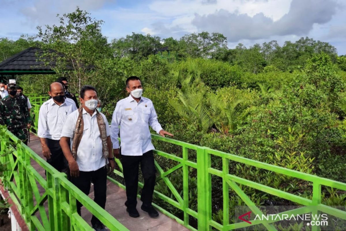 Apar Mangrove Park menjaga  kelestarian alam dan destinasi wisata