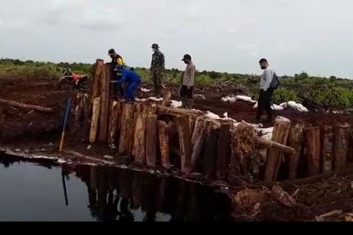Kapolres Muaro Jambi  partoli udara cek sekat kanal di Kumpeh