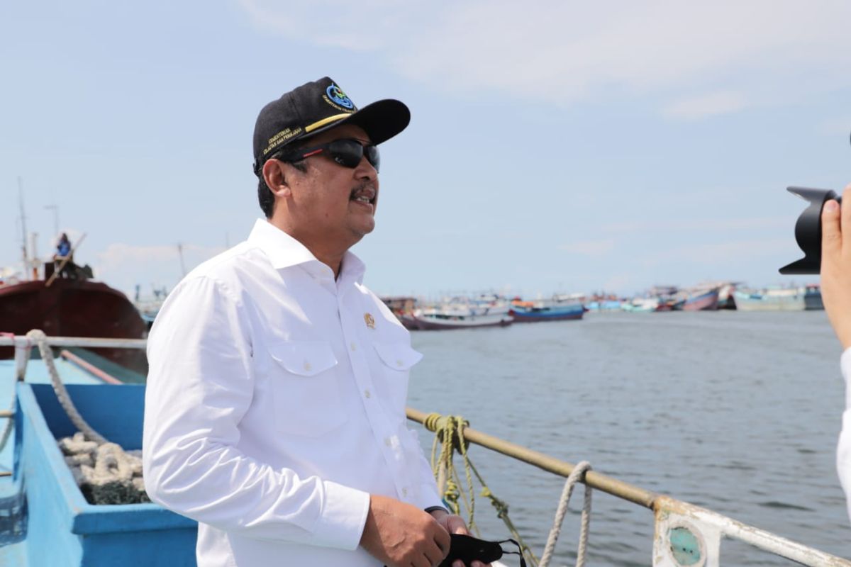 Indonesia to become main global player in shrimp market: Minister