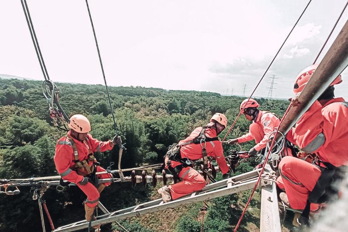 PLN ganti 324 keping isolator pada SUTT Probolinggo-Lumajang