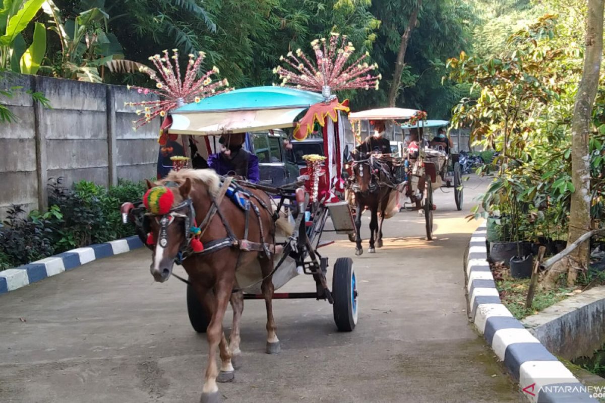 Plt Wali Kota Jakarta Selatan ingin ada bansos untuk kuda pekerja